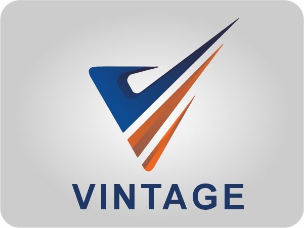 Professional Logo Design &amp;amp; Brand Identity Creation — photo 21